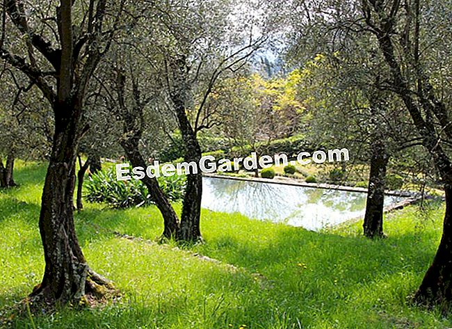 Taman Villa Noailles di Grasse (06) - (grasse) Air pancut dan kolam