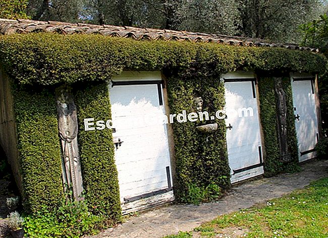 Taman Villa Noailles di Grasse (06) - (taman) gudang alat