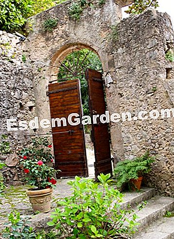 Taman Villa Noailles di Grasse (06) - (grasse) halaman vila Noailles di Grasse