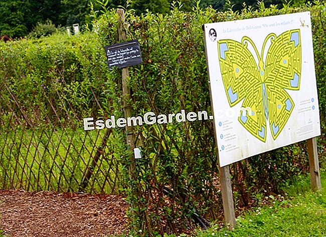 Die Gärten von Colette (19): Besuch in Bildern - (gärten) Das Labyrinth von Bel-Gazou, ein riesiger Schmetterling von 5000 m² in geflochtener Weide, spielt im Leben und in der Arbeit von Colette.