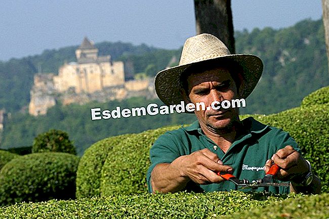 Taman Marqueyssac di Dordogne (24) - (yang) Tukang kayu memotong kayu di Marqueyssac