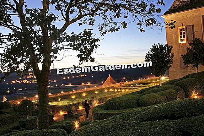 Taman Marqueyssac di Dordogne (24) - (Dordogne) Marqueyssac disalut oleh cahaya lilin