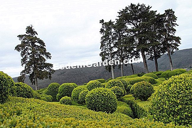 Taman Marqueyssac di Dordogne (24) - (yang) Bastion Marqueyssac