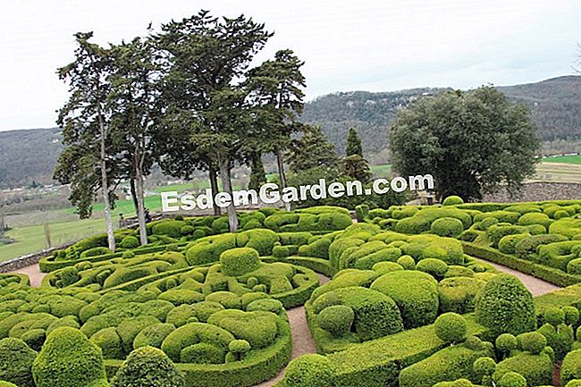 Taman Marqueyssac di Dordogne (24) - (taman) Bastion Marqueyssac