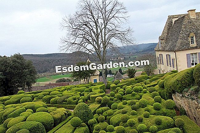 Taman Marqueyssac di Dordogne (24) - (yang) Bastion taman Marqueyssac