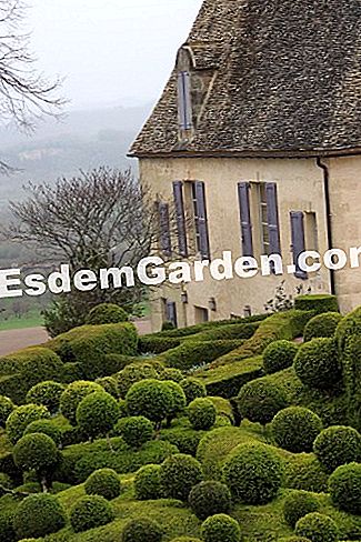 Taman Marqueyssac di Dordogne (24) - (yang) Taman Marqueyssac di Dordogne (24): Dordogne