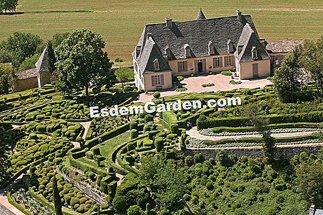 Taman Marqueyssac di Dordogne (24) - (taman) Taman Marqueyssac di Dordogne (24): yang