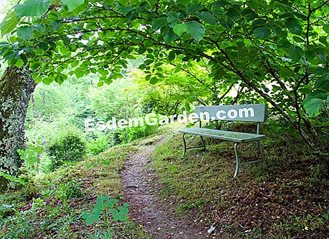 ์๋ฆ๋ต๊ฒ ๊พธ๋ฉฐ์ง Val Maubrune ์ ์ (La Brionne, Creuse) - Maubrune ๋ชจ๋๋ฅผ์ํ ์์์ฒ