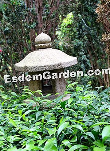 Ephrussi de Rothschild villa Saint-Jean-Cap-Ferratban (06) - ephrussi Kő lámpás a Zen kertben