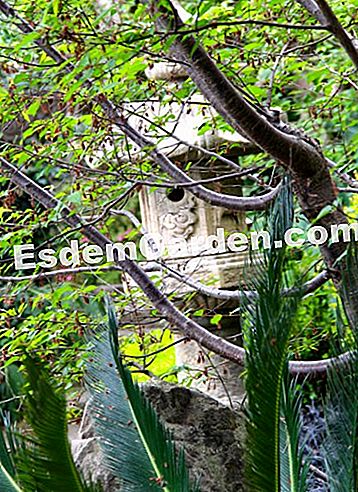 Ephrussi de Rothschild villa Saint-Jean-Cap-Ferratban (06) - rothschild A japán kert csendre szólít fel a meditációban és a szemlélődésben