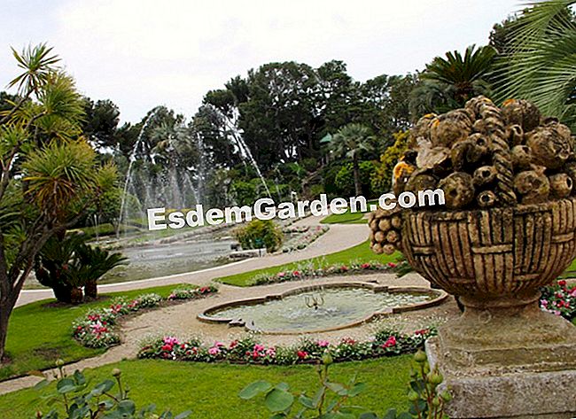 Ephrussi de Rothschild villa Saint-Jean-Cap-Ferratban (06) - kert A francia kertet medencék és szökőkutak díszítik, amelyek játékát a klasszikus zene szakadék jellemzi