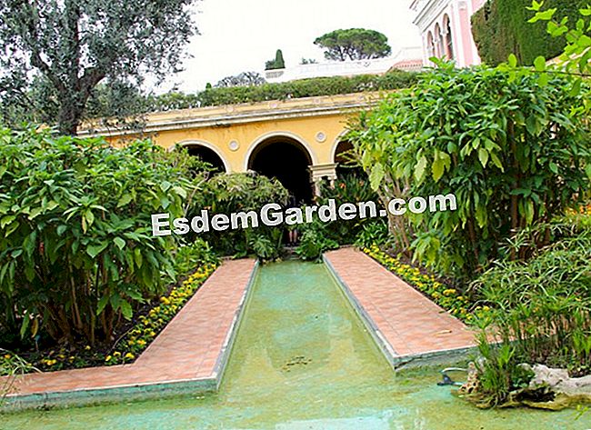 Ephrussi de Rothschild villa Saint-Jean-Cap-Ferratban (06) - villa A spanyol ihletésű kertben, az árkádok alatt a barlang egyszer Beatrice madaraknak tartotta magát (flamandok, ibis...)