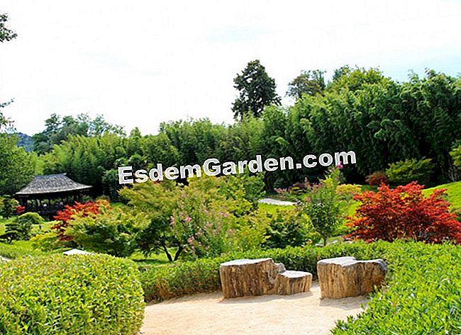 Lawatan Bambouseraie di Cevennes (Gard) - (gard) Dari Lembah Naga pemandangan Pavilion Red Phoenix