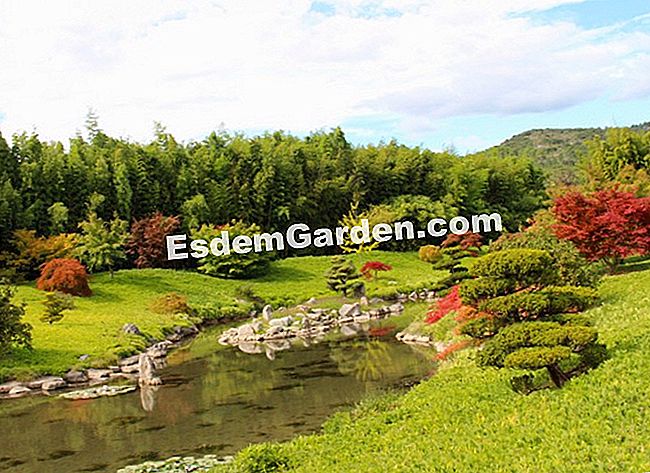 Lawatan Bambouseraie di Cevennes (Gard) - (taman) Gambaran Keseluruhan Lembah Naga