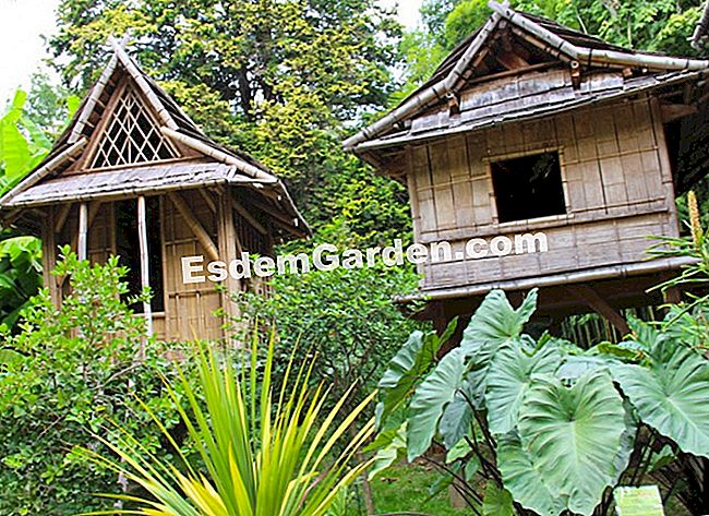 Lawatan Bambouseraie di Cevennes (Gard) - (yang) Rumah-rumah kampung Laotian
