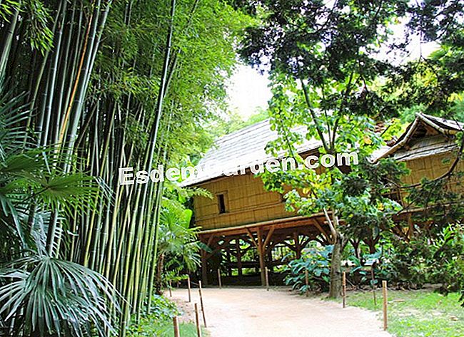 Lawatan Bambouseraie di Cevennes (Gard) - (gard) Rumah-rumah desa Laotian dibina daripada buluh