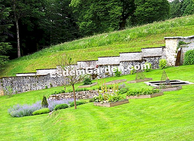 Lawati taman Mas Maury di Haute-Vienne - (dengan) Taman sayuran disusun di dalam alun-alun dan dihiasi dengan massif aromatik
