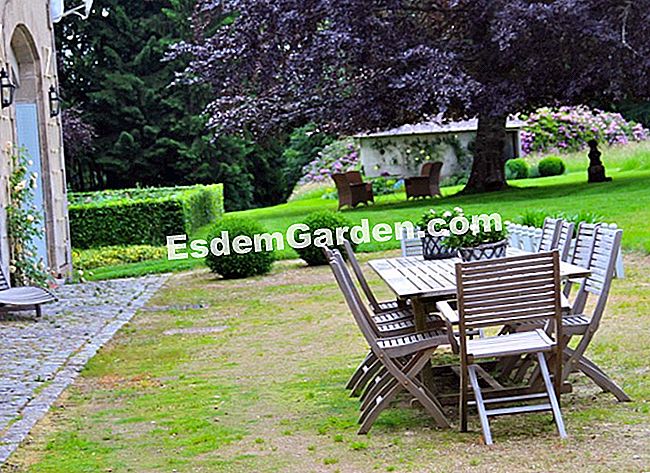 Lawati taman Mas Maury di Haute-Vienne - (maury) Teres di hadapan rumah adalah tempat yang ideal untuk makan tengah hari di luar