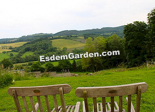 Lawati taman Mas Maury di Haute-Vienne - (maury) Di atas taman sayuran merupakan tempat yang ideal untuk mengagumi pandangan