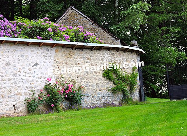Lawati taman Mas Maury di Haute-Vienne - (dengan) Tinggalkan pintu, kami di sini di taman dapur