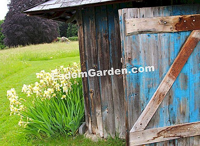 Lawati taman Mas Maury di Haute-Vienne - (bunga) Rumah cuci lama berhampiran padang rumput