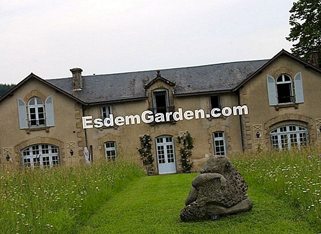 Lawati taman Mas Maury di Haute-Vienne - (yang) Padang rumput berbunga, seperti kebun lain, menganjurkan pameran arca