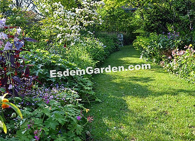 Lawati Jardin des Lianes - (yang) Dedaunan berwarna-warni, semak-semak berbunga dan perennials sempadan lorong-lorong