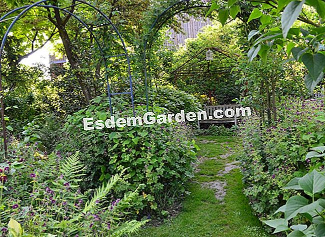 Lawati Jardin des Lianes - (jardin) Di setiap sudut, bangku dan kerusi kayu menjemput anda untuk merenung