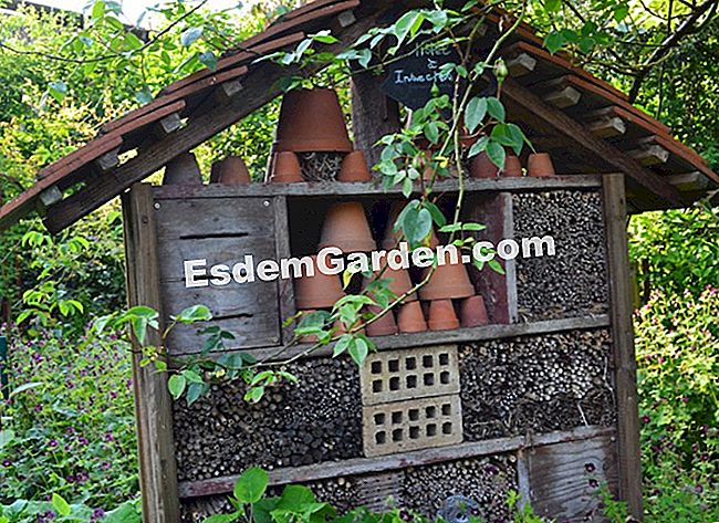 Lawati Jardin des Lianes - (luar) Bilik untuk semua jenis pelawat