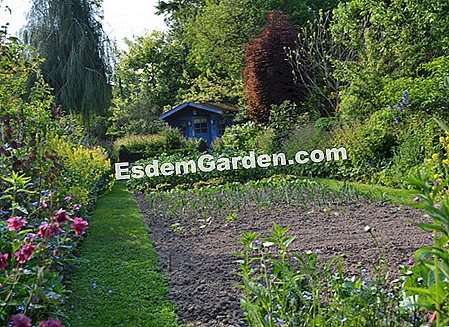 Lawati Jardin des Lianes - (yang) Kabin biru mengawasi taman dapur