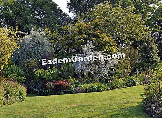 Lawati Jardin des Lianes - (biasa) Mengecewakan, sudah tentu, tetapi dikuasai