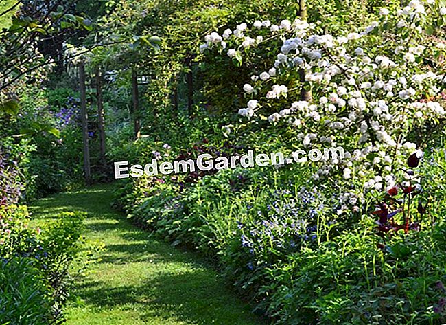 Lawati Jardin des Lianes - (yang) Ikut laluan gazebo itu