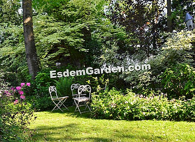 Lawati Jardin des Lianes - (biasa) Jemputan ke perbincangan