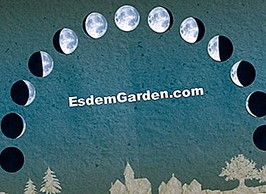 Mula berkebun dengan bulan - (dengan) Mesti kita mempunyai idea astronomi untuk kebun dengan bulan?
