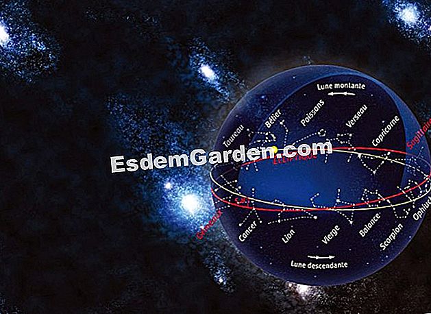 Le dodici costellazioni... e il serpente - (della) 13 segni dello zodiaco I Francés - EsdemGarden