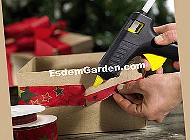 Haga usted mismo: composición de Navidad con flores de Pascua - (haga) Regalo de Navidad hecho en casa