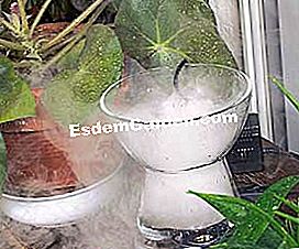 Plantele verzi necesită umiditate - (verzi) Umidificator decorativ pentru plante verzi interioare.