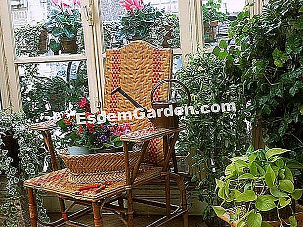 Piante da appartamento: leggere, anche in inverno - (luce) area relax e piante d'appartamento davanti a una finestra