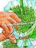 마르코 터 고무 - 플라스틱 이끼 또는 sphagnum의 소매를 작성