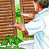 Asigurați-vă din nou inflorirea poinsetției - (poinsettia) Desen: iarnă poinsettia