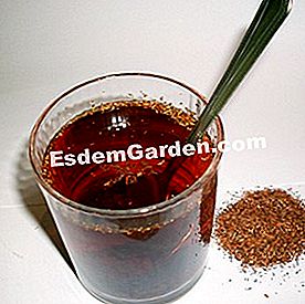 Resipi minuman kesihatan berasaskan Cinnamon - (manis) Teh merah, penyerapan rooibos, semak yang berasal dari Afrika Selatan