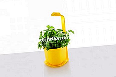 Festa della mamma 2015. Idee regalo naturali - (idee) Mini orto - 89 €