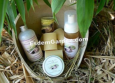 Festa della mamma 2015. Idee regalo naturali - (regalo) Linea di cura con latte di capra fresco