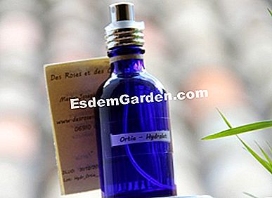 Festa della mamma 2015. Idee regalo naturali - (festa) Ortica - 7 € per 100 ml