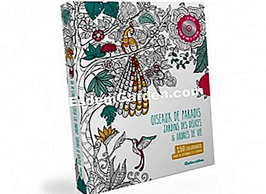 Festa della mamma 2015. Idee regalo naturali - (mamma) Uccelli del paradiso, giardino di delizie e alberi della vita