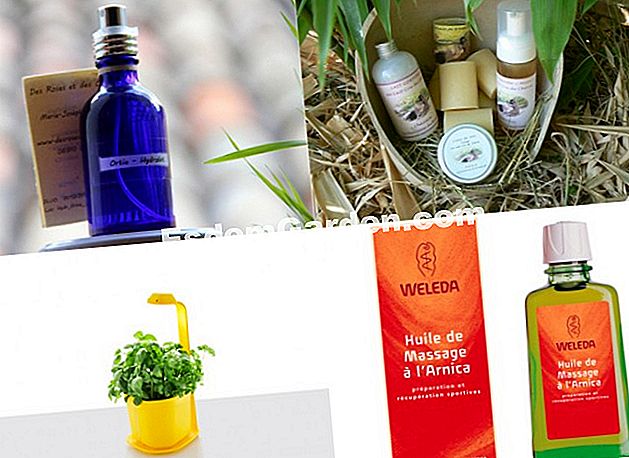 Festa della mamma 2015. Idee regalo naturali - (2015) idee regalo di cura della natura
