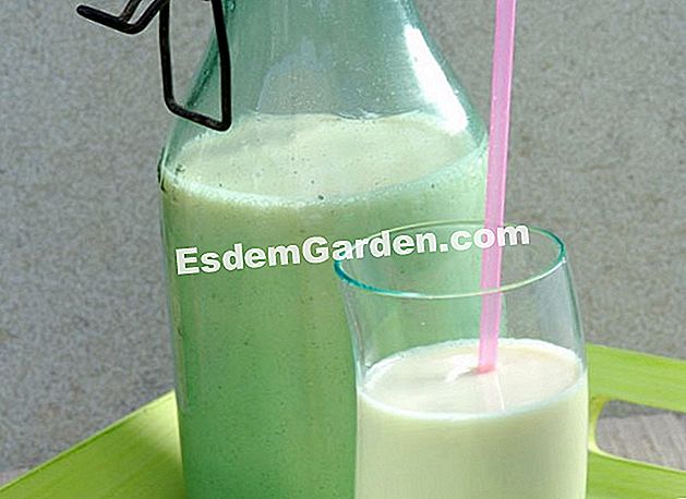 Susu sayuran: manfaat dan penggunaan dalam masakan - (sayuran) Susu soya