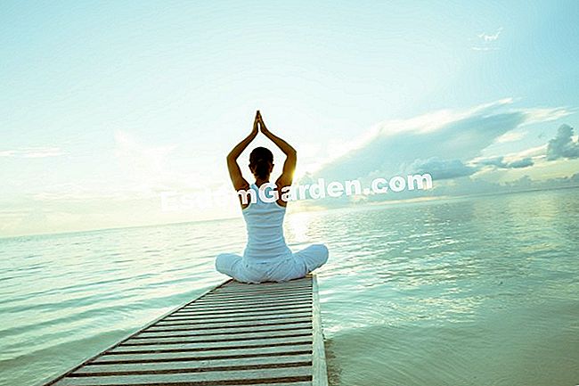 Szofrológia, éberség és meditáció - hogy Meditálj a természetben