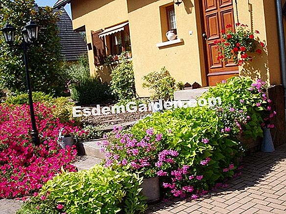 JardinExpress: Katalog Frühjahr 2012