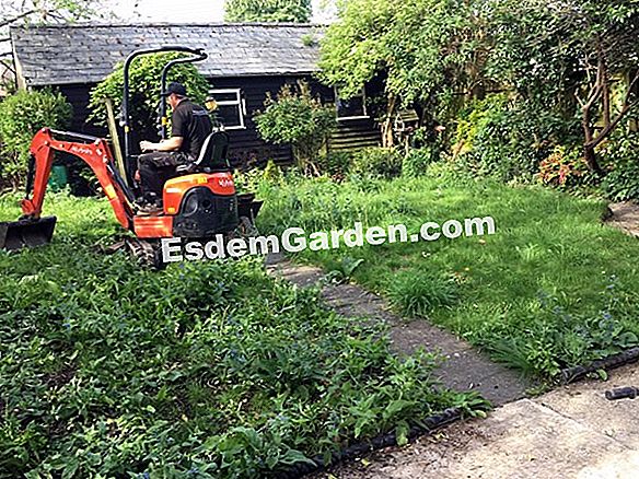 Macadam Gardens: l'e-boutique dei giardinieri urbani